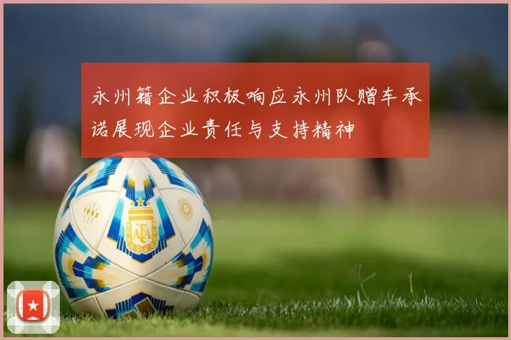 永州籍企业积极响应永州队赠车承诺展现企业责任与支持精神