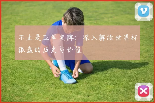 不止是亚军奖牌:深入解读世界杯银盘的历史与价值