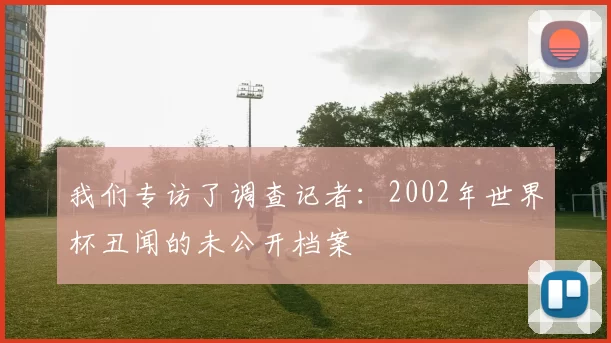 我们专访了调查记者：2002年世界杯丑闻的未公开档案