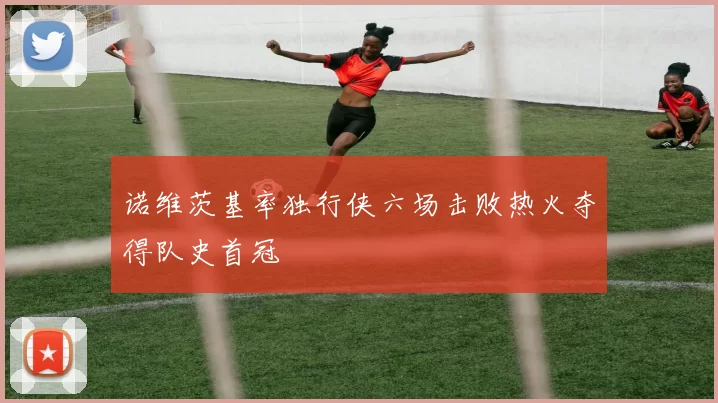 诺维茨基率独行侠六场击败热火夺得队史首冠