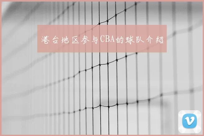 港台地区参与CBA的球队介绍