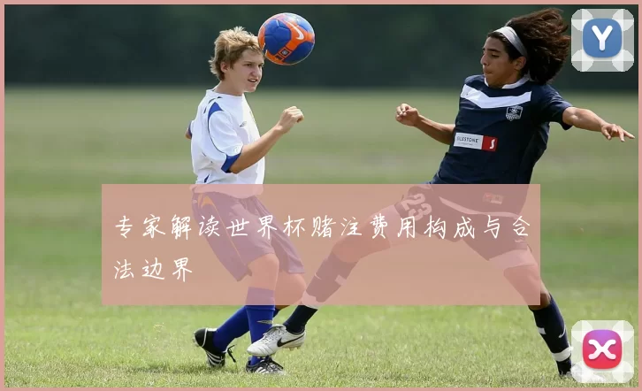 专家解读世界杯赌注费用构成与合法边界