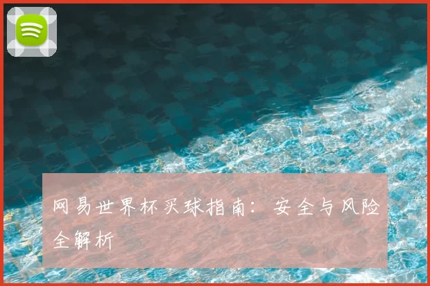 网易世界杯买球指南:安全与风险全解析