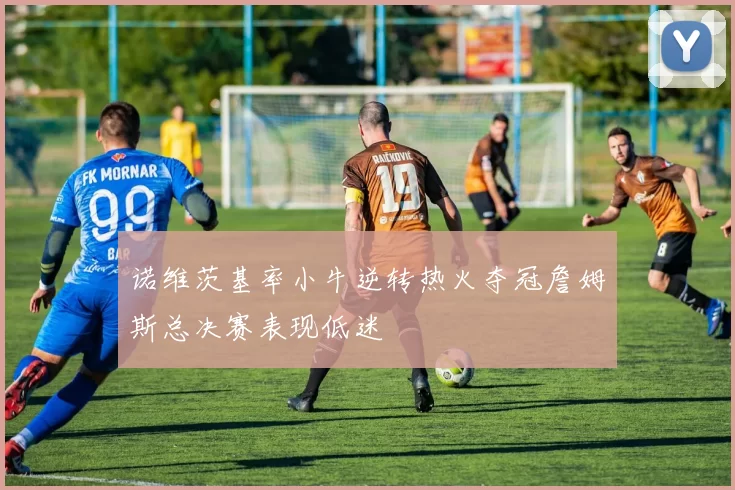 诺维茨基率小牛逆转热火夺冠詹姆斯总决赛表现低迷