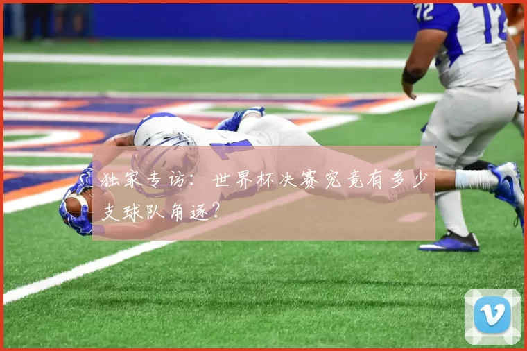 独家专访：世界杯决赛究竟有多少支球队角逐？