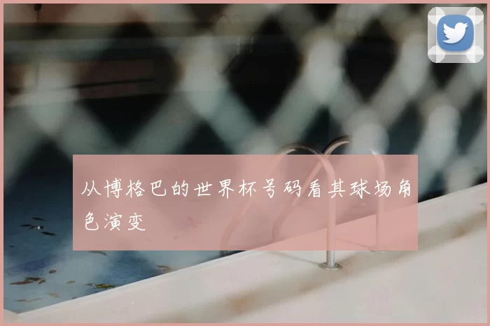 从博格巴的世界杯号码看其球场角色演变