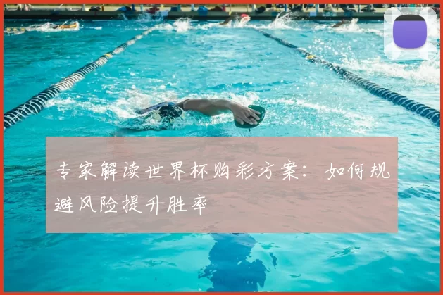 专家解读世界杯购彩方案：如何规避风险提升胜率