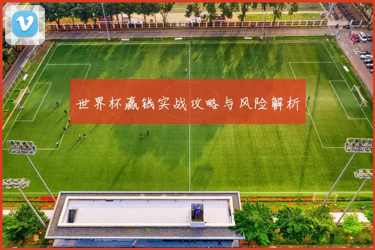 世界杯赢钱实战攻略与风险解析