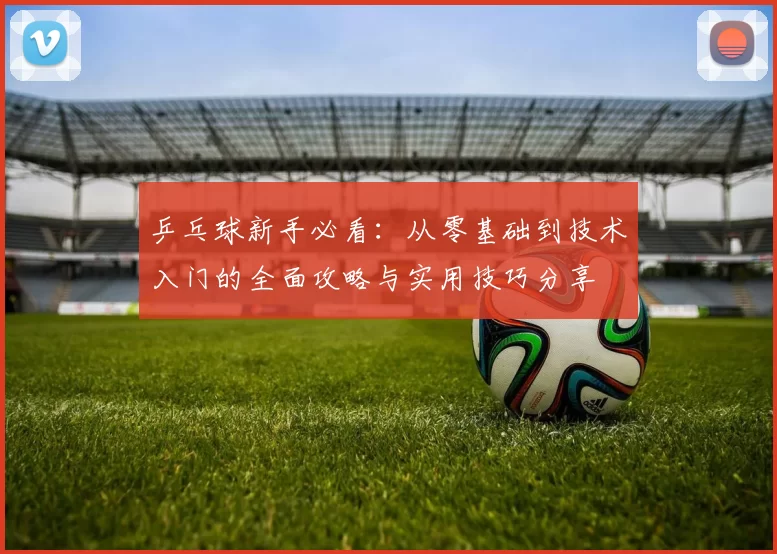 乒乓球新手必看：从零基础到技术入门的全面攻略与实用技巧分享