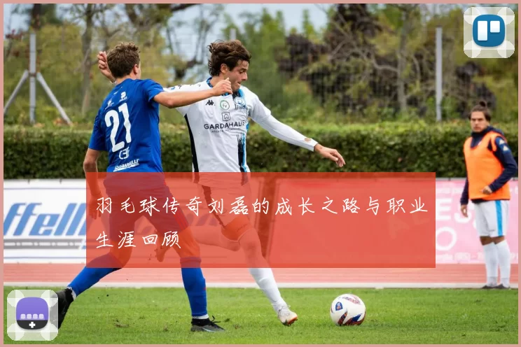 羽毛球传奇刘磊的成长之路与职业生涯回顾