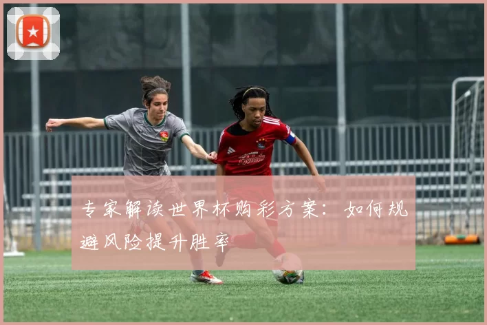 专家解读世界杯购彩方案：如何规避风险提升胜率