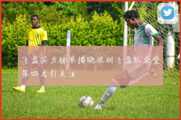 飞盘实力榜单揭晓深圳飞盘队荣登第四名引关注