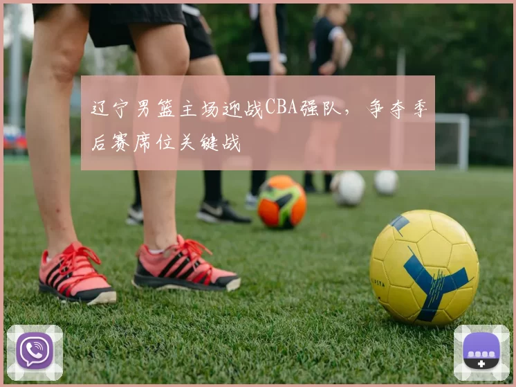 辽宁男篮主场迎战CBA强队，争夺季后赛席位关键战