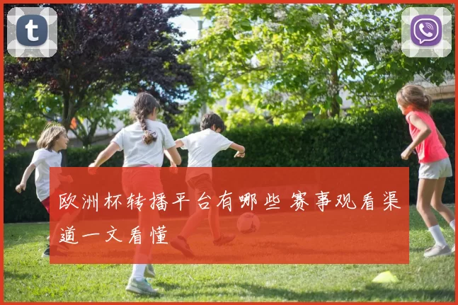 欧洲杯转播平台有哪些 赛事观看渠道一文看懂