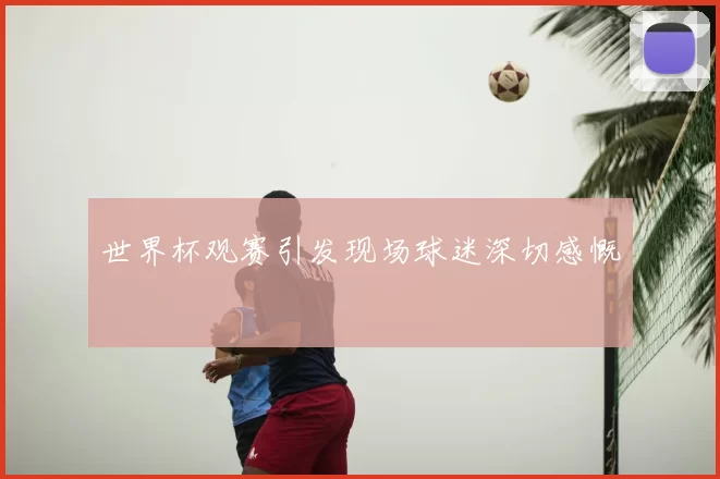 世界杯观赛引发现场球迷深切感慨