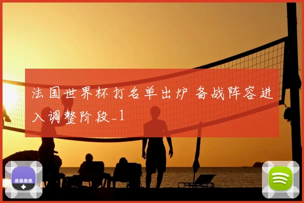 法国世界杯打名单出炉 备战阵容进入调整阶段_1