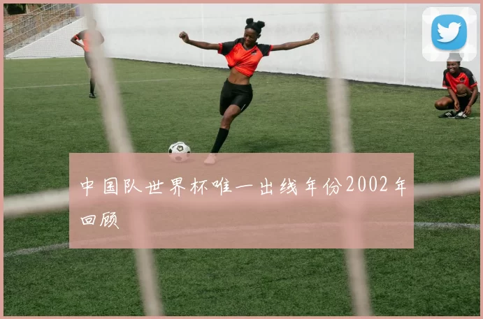 中国队世界杯唯一出线年份2002年回顾