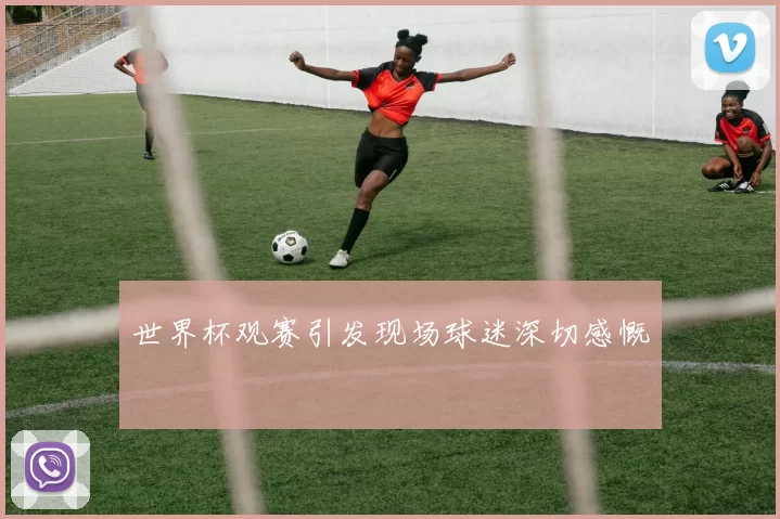 世界杯观赛引发现场球迷深切感慨