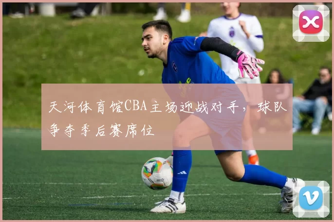 天河体育馆CBA主场迎战对手，球队争夺季后赛席位