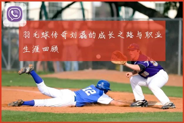 羽毛球传奇刘磊的成长之路与职业生涯回顾
